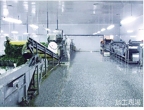Vegetable rough-processing room from the TPJ company catalogue